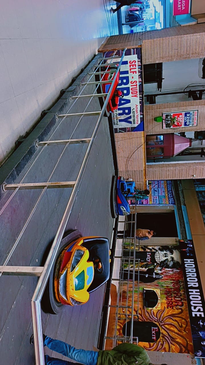 Professional Services